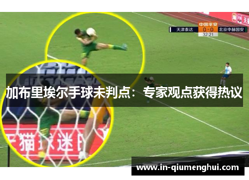 加布里埃尔手球未判点：专家观点获得热议